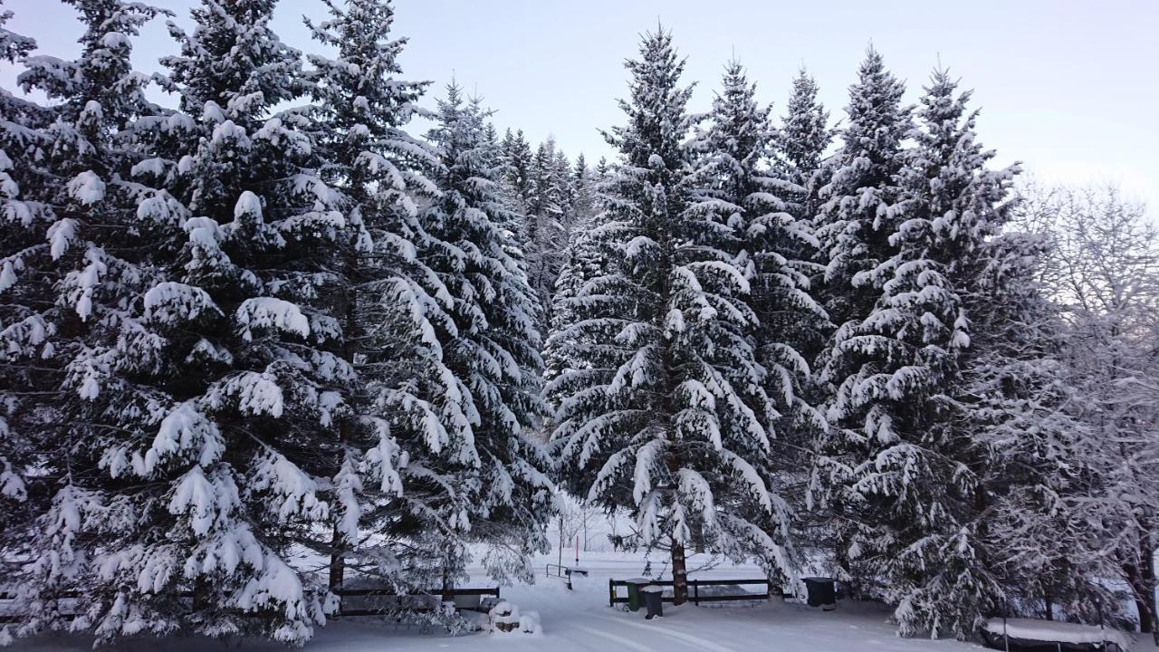 Am Kaltenbach - Spital Am Semmering, Stuhleck Экстерьер фото